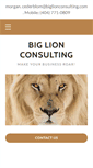 Mobile Screenshot of biglionconsulting.com